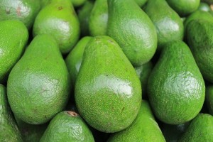 Avocados from Zimbabwe